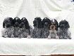 Gruppenbilder des I-Wurfs